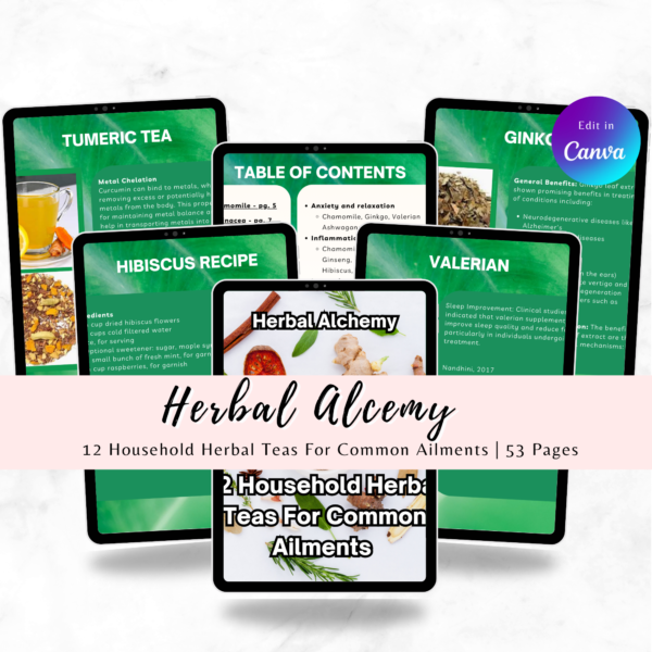 o_1ic24edu5dmjjo4b3319u8k2hr HERBAL ALCHEMY-12 HOUSEHOLD HERBAL TEAS FOR COMMON AILMENTS